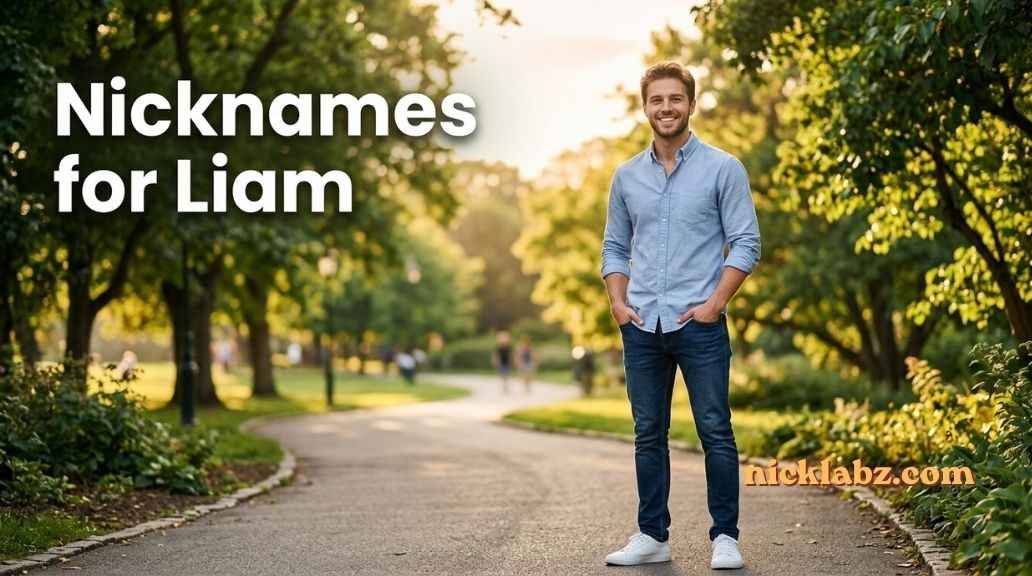 Nicknames for Liam
